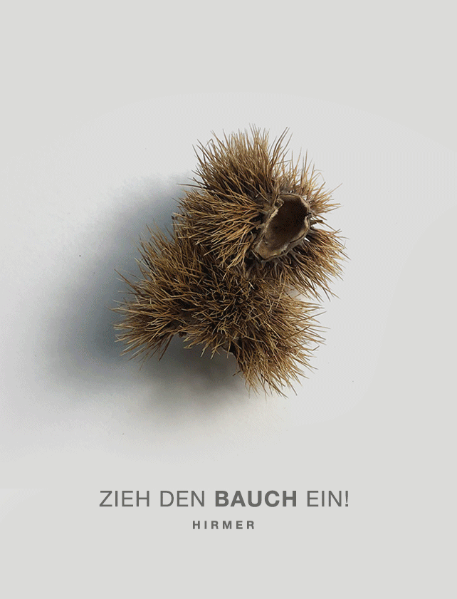 Zu den Arbeiten